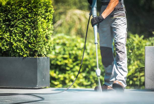 Best Driveway Cleaning and Restoration in Rancho Alegre, TX