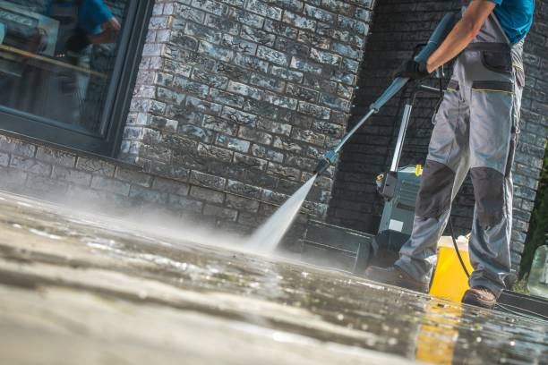 Best Concrete Surface Cleaning in Rancho Alegre, TX