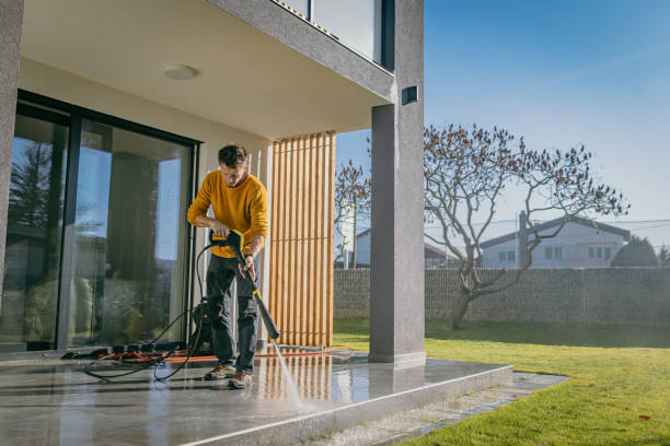 Best Roof Cleaning and Mildew Removal in Rancho Alegre, TX